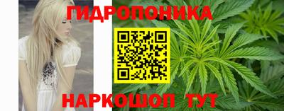 Альфа ПВП Сланцы